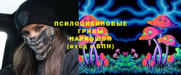 амф Горнозаводск